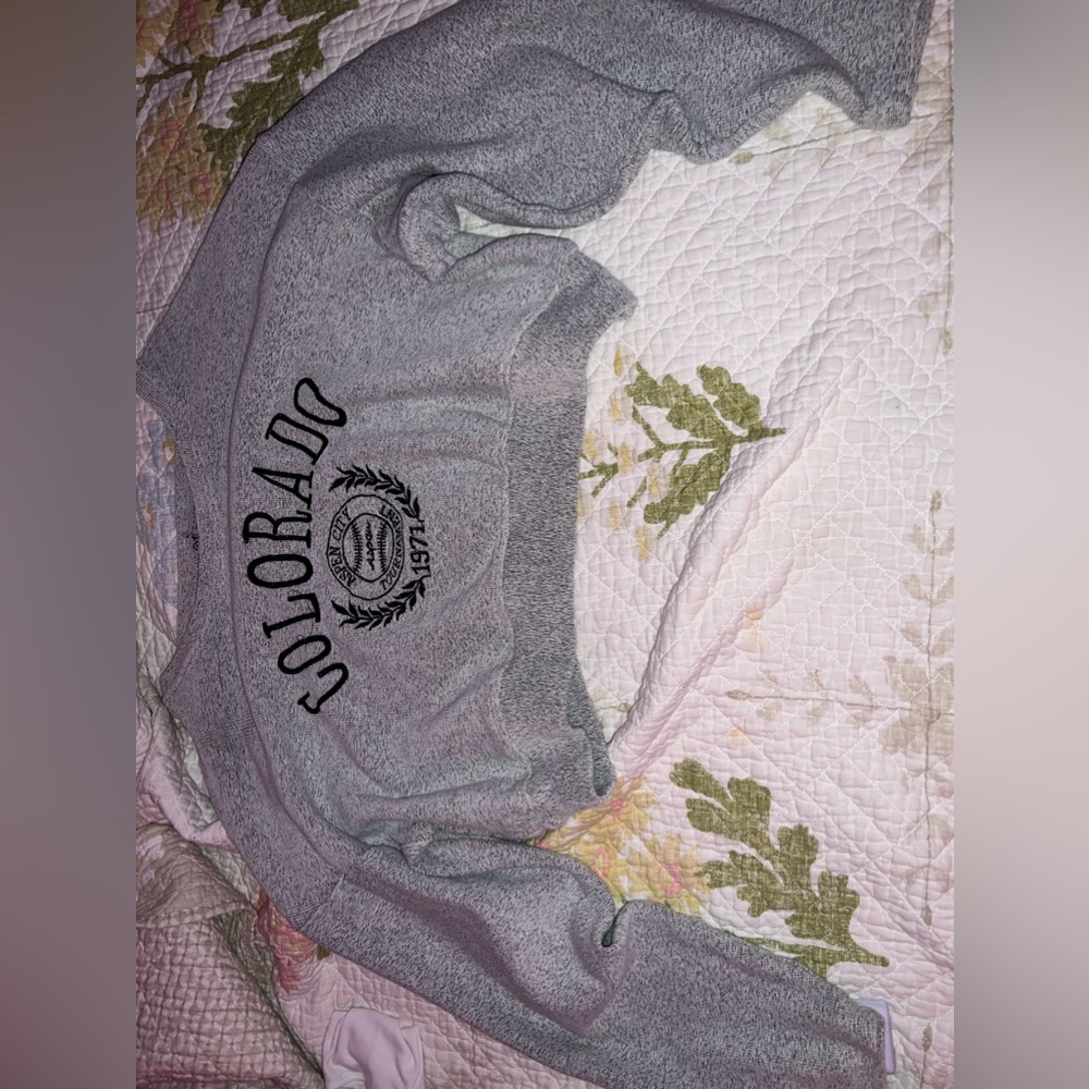 Grey Crop Top sweater
